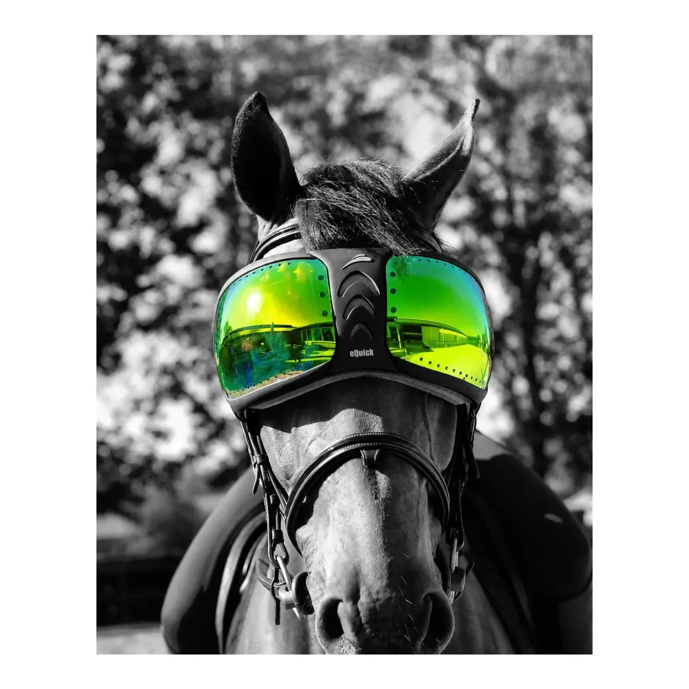eQuick Lenses for eVysor - kit - Mirrored Green -  Farbe: Mirrored Green, Grösse: One Size