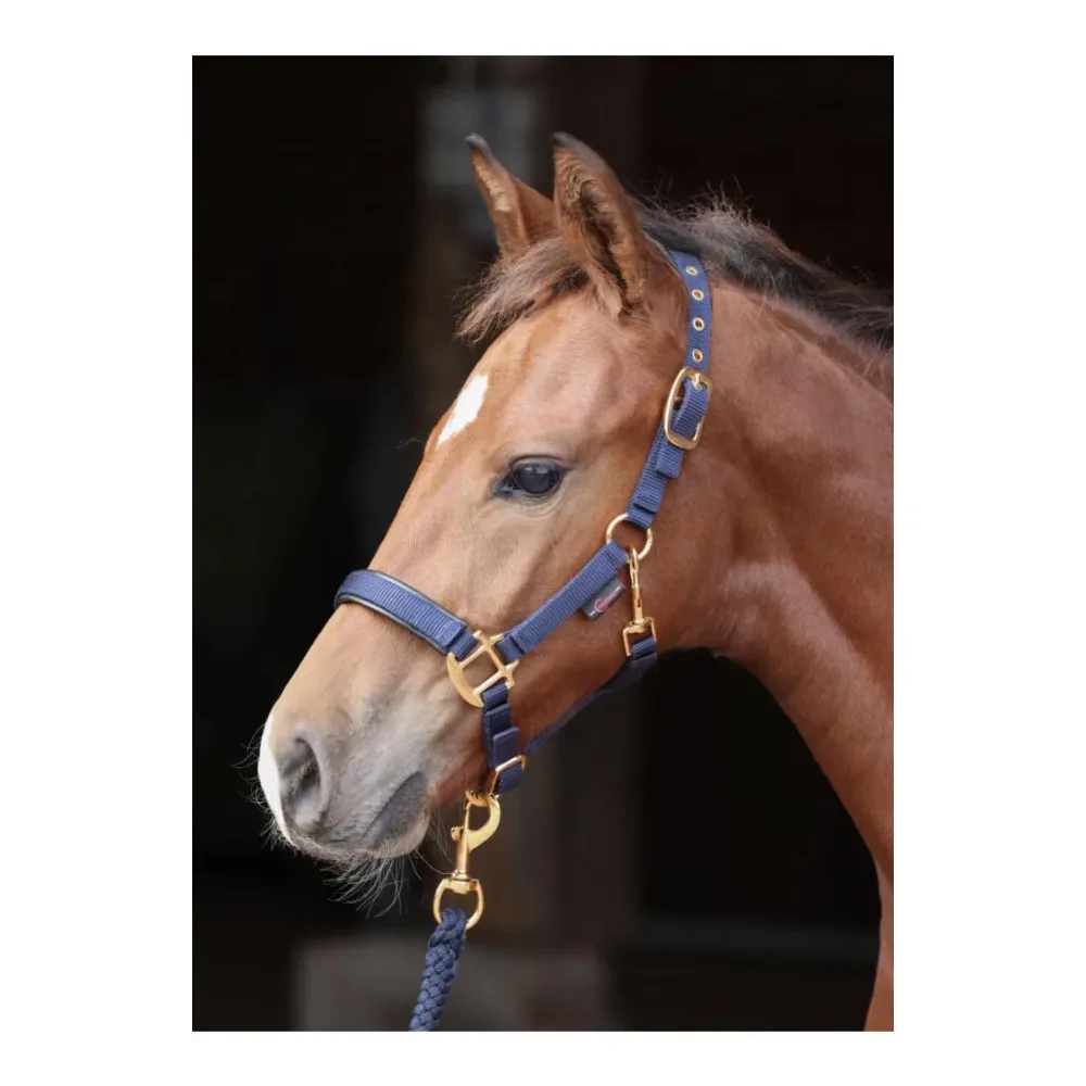 Kerbl Fohlenhalfter TopLine - Navy -  Grösse: One Size, Farbe: Navy