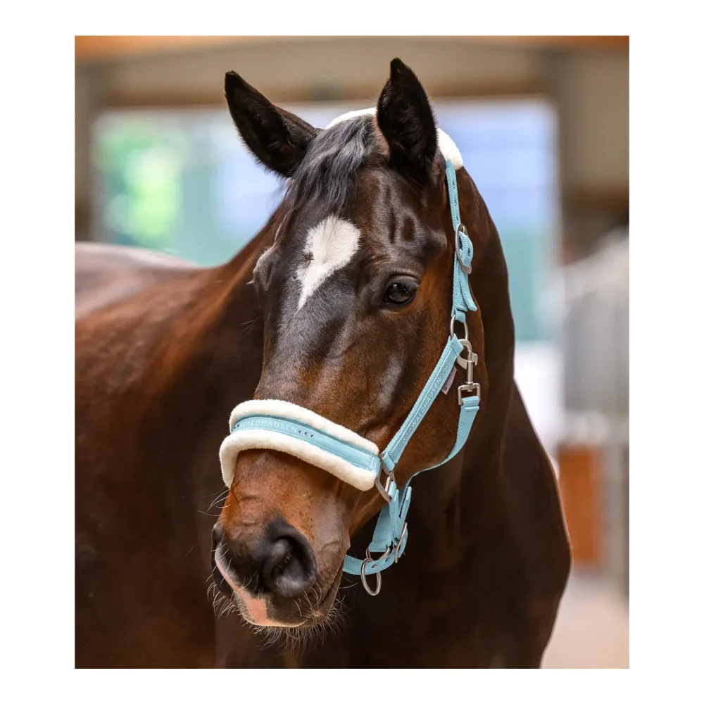 Waldhausen Halfter Elegant - Hellblau -  Farbe: Hellblau, Grösse: Pony