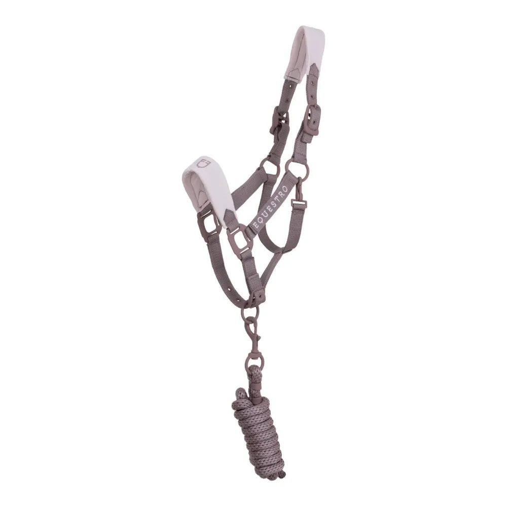 Equestro Halfter gummierte Schnallen Antler / Hushed Violet