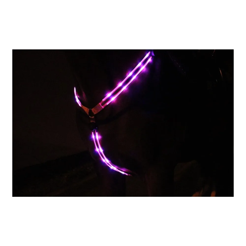 Animal Light LED Leuchtvorgeschirr 2.0 - pink Farbe: Pink, Grösse Pferd: WB