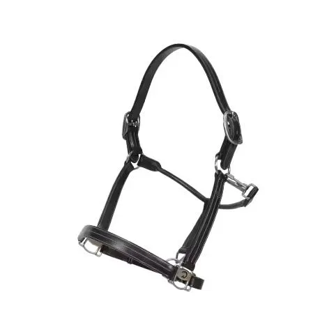 Dy'on Verstellbares US-Kopfhalfter WO coll - Schwarz -  Farbe: Schwarz, Grösse Pferd: Full