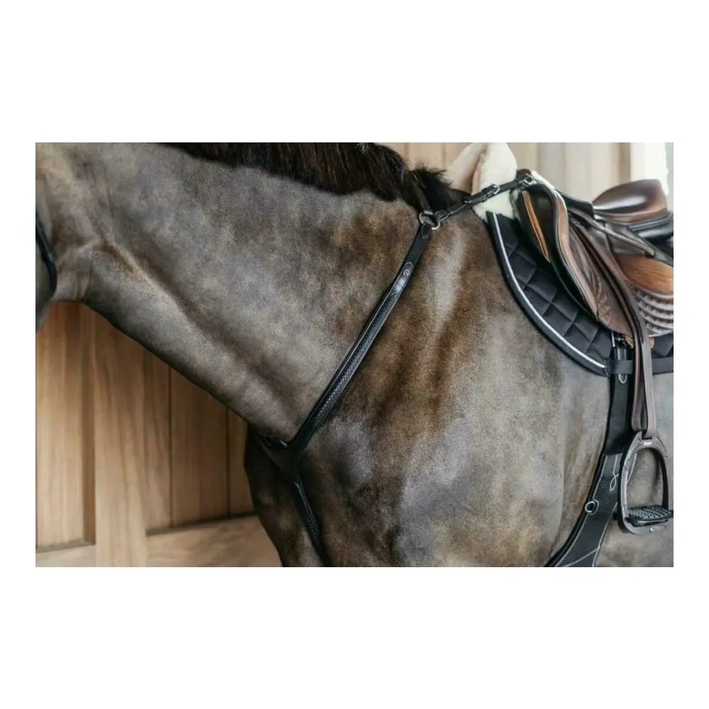 Vorderzeug geflochten Working by Dy'on - Schwarz -  Grösse: Pony, Farbe: Schwarz