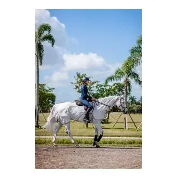 Horseware Ausreitdecke Amigo - Silver/Titanium Grey & Silver -  Grösse Pferdedecken: Medium