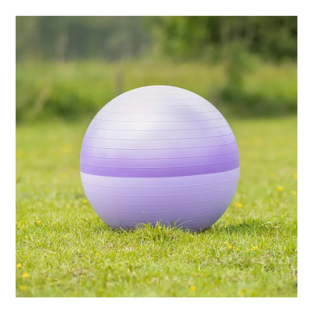 QHP Pferdefussball two-tone Purple