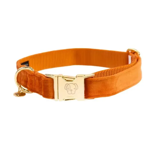 Kentucky Dogwear Hundehalsband velvet - Orange -  Farbe: Orange, Grösse Hundehalsband: S