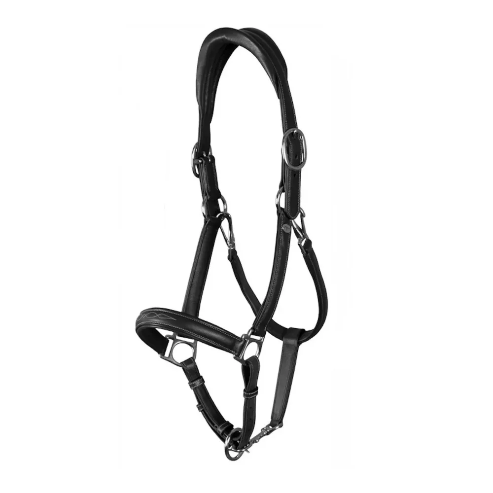 Dy'on Weiches Lederhalfter Working Collection Neu - schwarz Grösse Halfter: Pony, Farbe: Schwarz