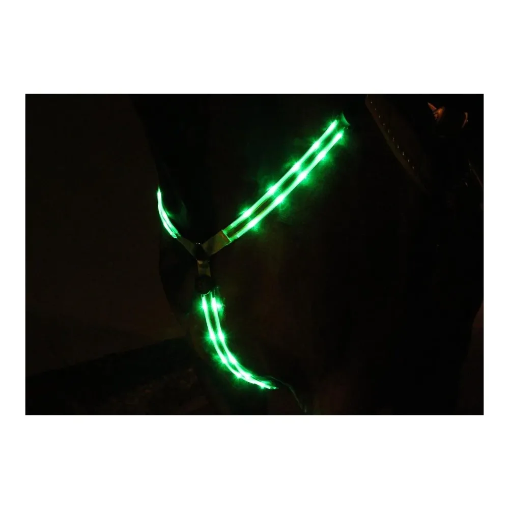 Animal Light LED Leuchtvorgeschirr 2.0 - Grün -  Farbe: Grün, Grösse Pferd: WB
