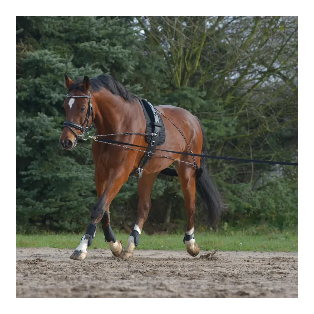 Waldhausen Longiersystem - schwarz Grösse Pferd: Vollblut/Warmblut
