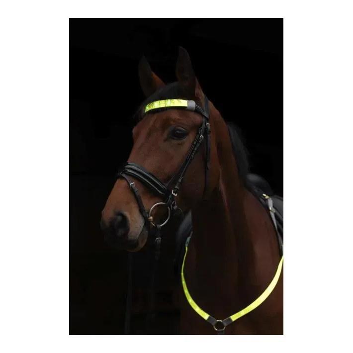 Covalliero Stirnriemen LED