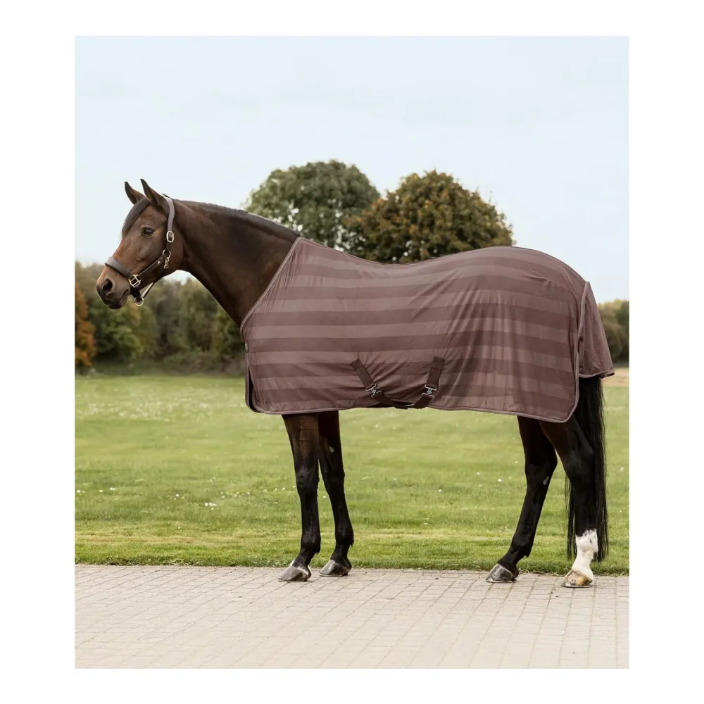 Waldhausen Fliegendecke Economic Kreuzbegurtung - Mocca -  Farbe: Mocca, Grösse Pferdedecken: 75 cm