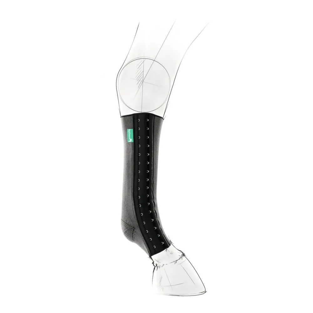 EquiCrown Kompressionsbandage fit - hinten, Silver antibakteriell - Schwarz/Silber -  Equicrown Kompressionsbandagen: rechts, kurz, 1