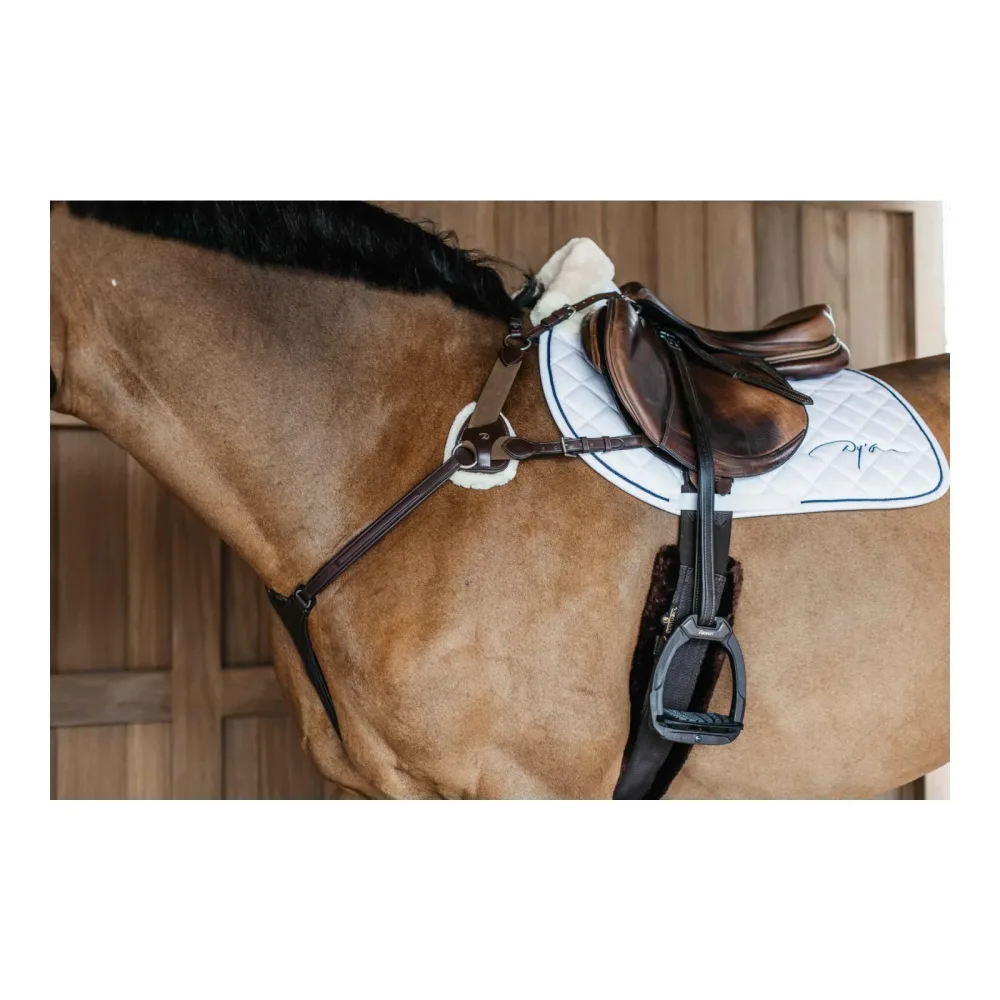 Dy'on Vorgeschirr 5 Punkt mit Elastic New English Collection - Braun -  Farbe: Braun, Grösse Zaum: Cob