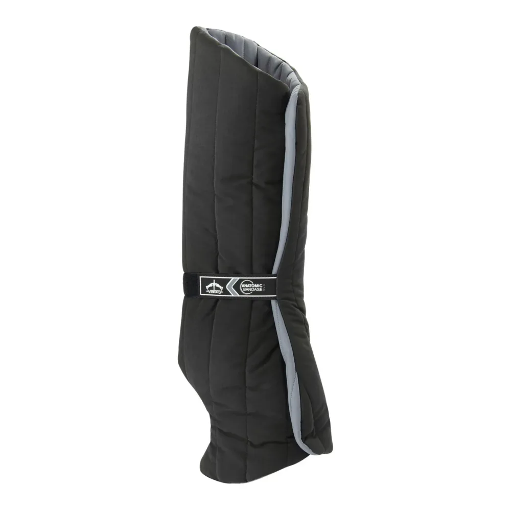 Veredus Anatomic Bandage Pad Hinten