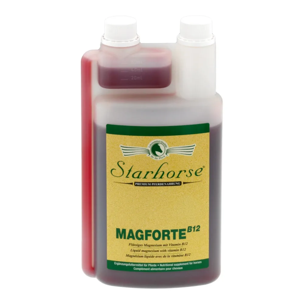 Starhorse Magforte B12