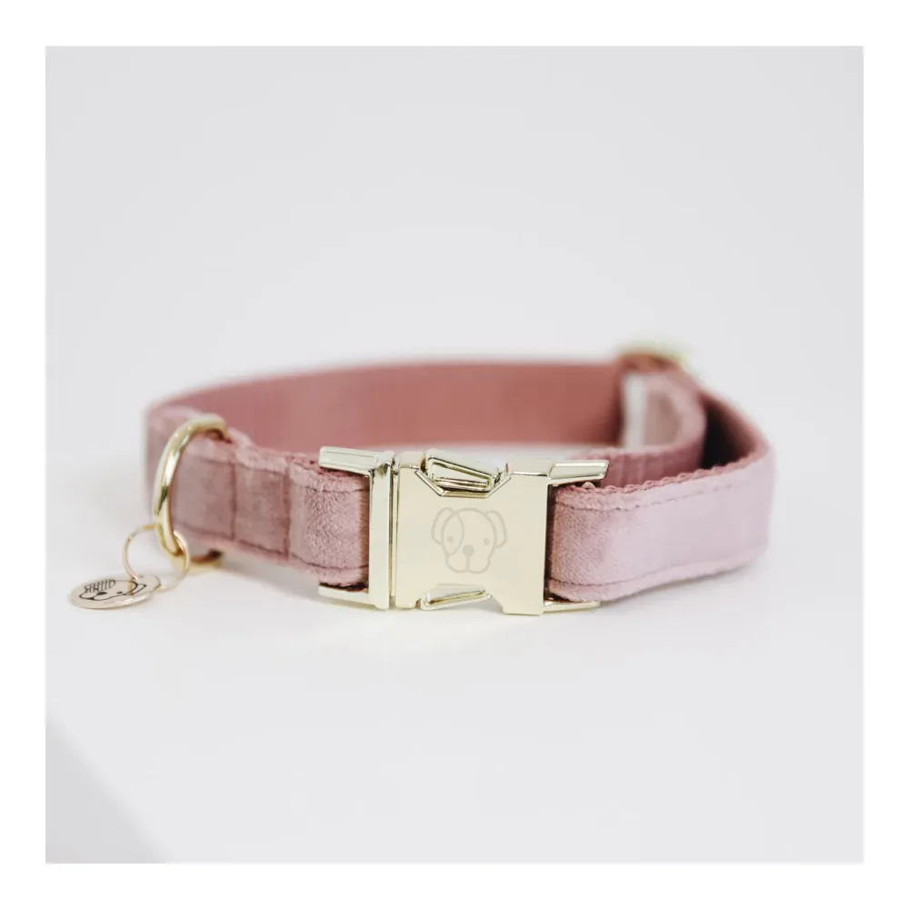 Kentucky Dogwear Hundehalsband velvet - old rose
