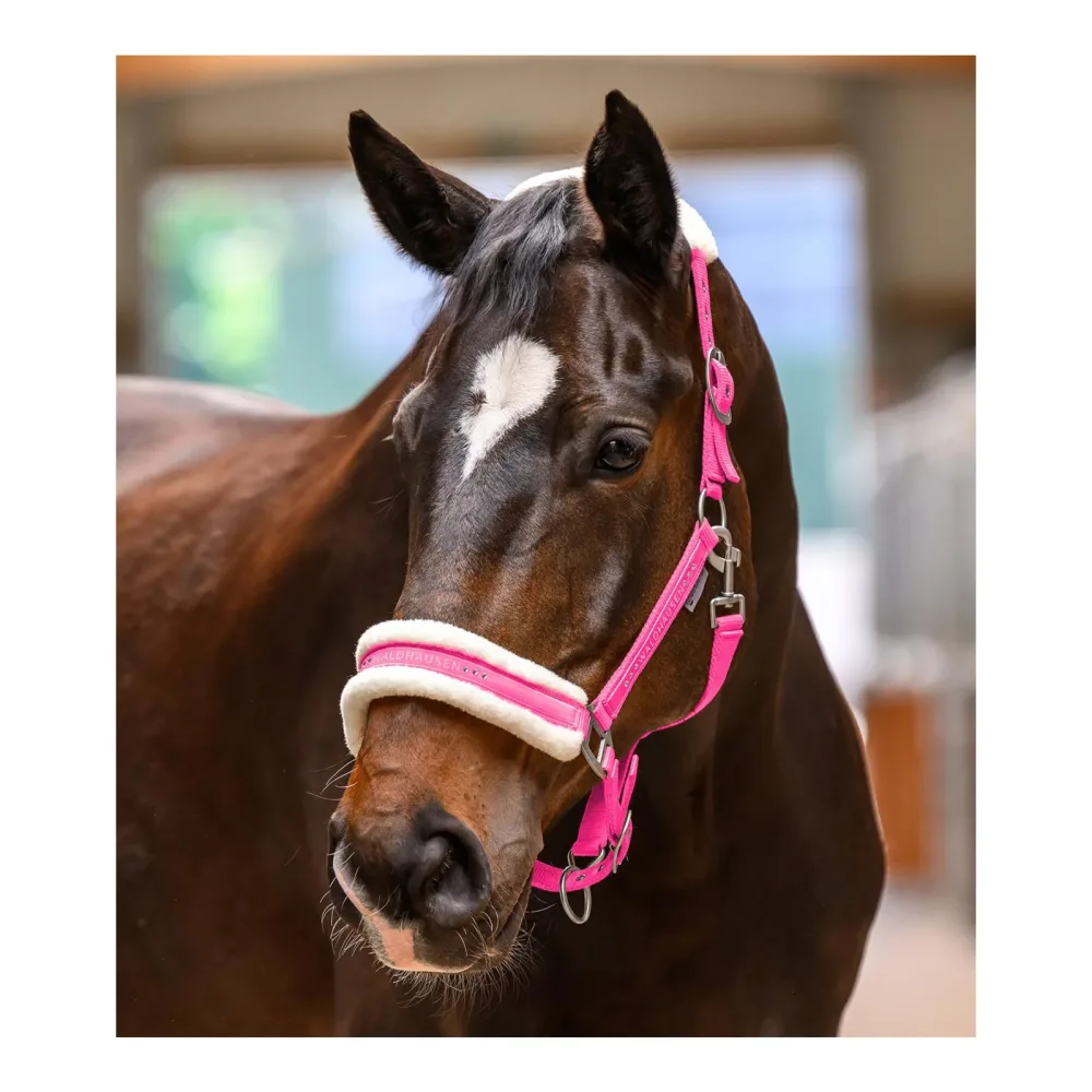 Waldhausen Halfter Elegant Pink