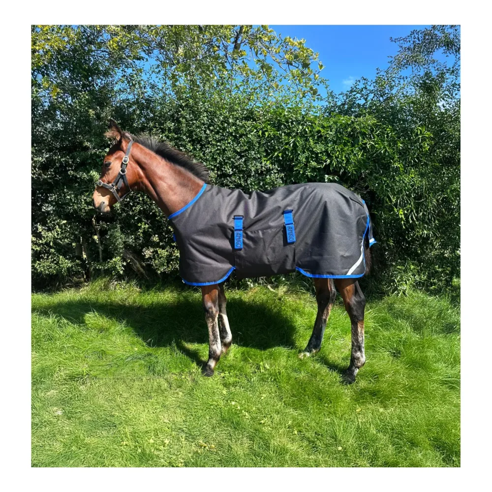 Horseware Fohlendecke Amigo Ripstop 900D 50g - Black/Classic Blue -  Grösse Pferdedecke: 80 cm