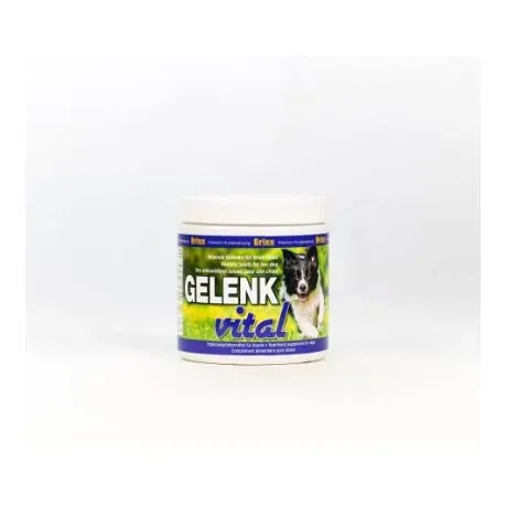 Starhorse Brixx Gelenk Vital für Hunde