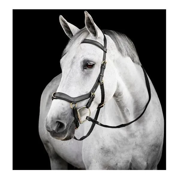 Horseware Zaum Micklem Multi - Schwarz -  Grösse Pferd: Cob