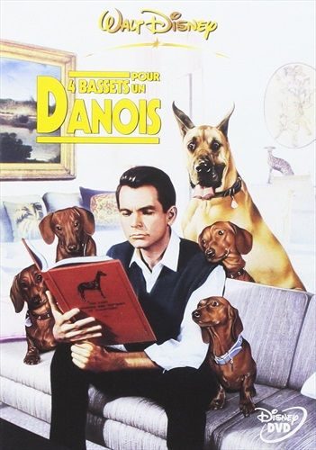 4 Bassets pour un danois (FR)