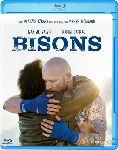 Bisons (DE)