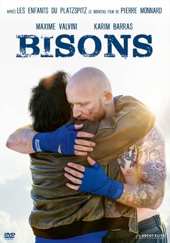 Bisons (FR)