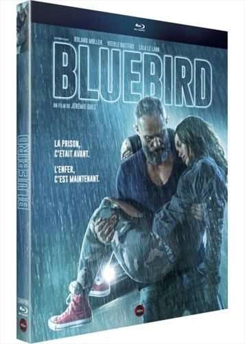 Bluebird (FR)