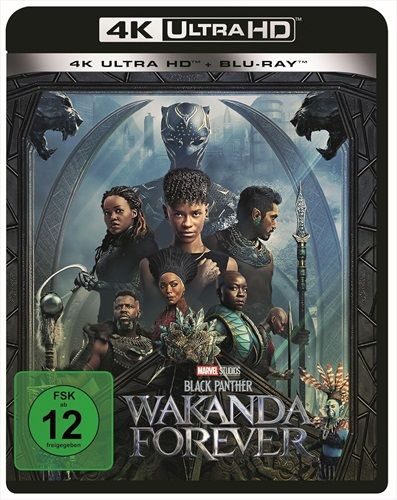 Black Panther: Wakanda Forever (DE)