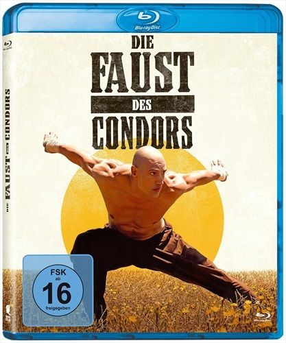 Die Faust des Condors (DE)