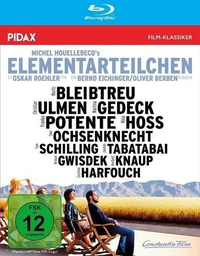 Elementarteilchen (DE)