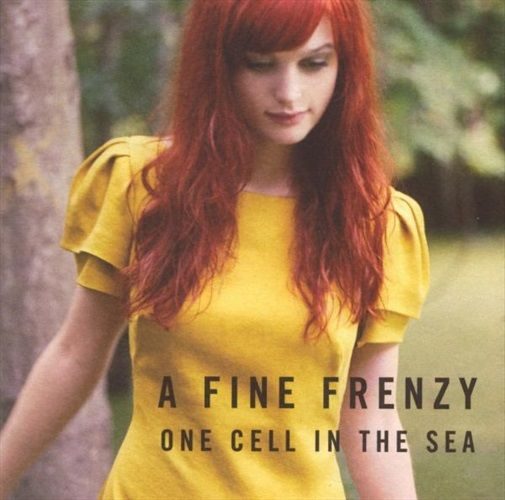 One Cell In The Sea
