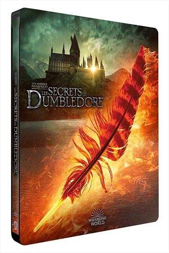 Les Animaux Fantastiques 3 - Les Secrets de Dumbledore (FR)