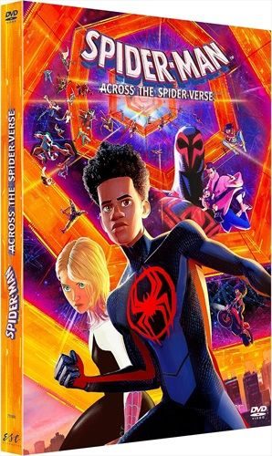 Spider-Man - Across The Spider-Verse (FR)