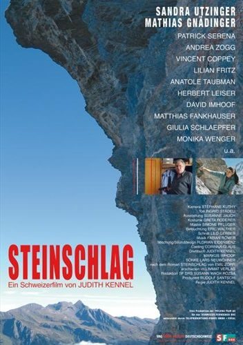 Steinschlag (DE)
