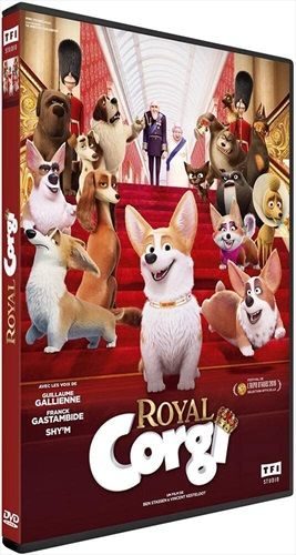 Royal Corgi (FR)