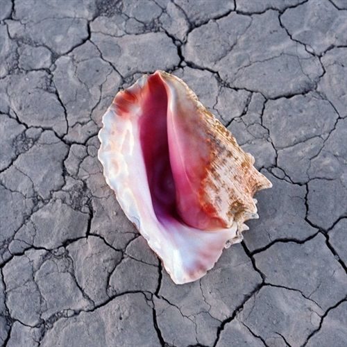 Wonderful Wonderful - Deluxe Edition