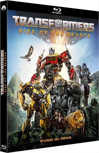 Transformers: Rise of The Beasts (FR)