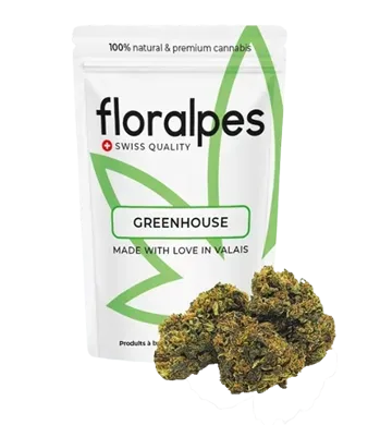 Pineapple Express CBD Blüten Greenhouse - 5g