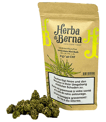 Lemon Haze Minibuds CBD Blüten Indoor - 21g
