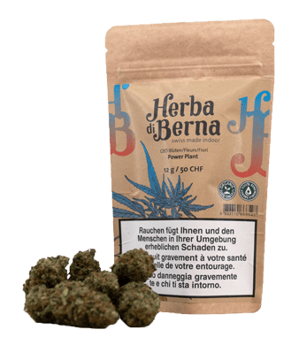 Power Plant CBD Blüten Indoor - 12g