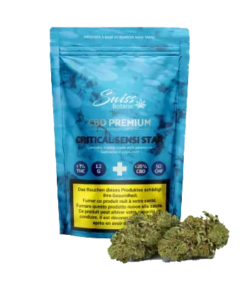 Critical Sensi Star CBD Blüten Indoor - 12g