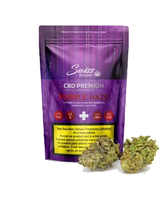 Purple Haze CBD Blüten Indoor - 11g