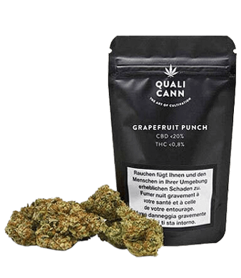 Grapefruit Punch CBD Blüten Indoor - 2g