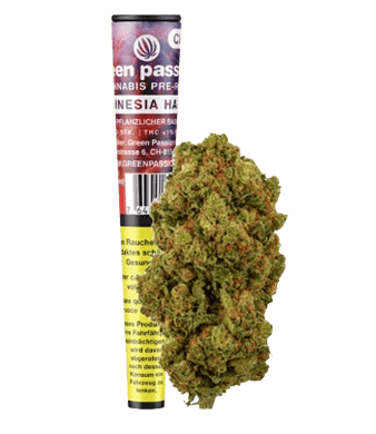 Amnesia Haze Vorgedrehter CBD-Joint Indoor - 1pc