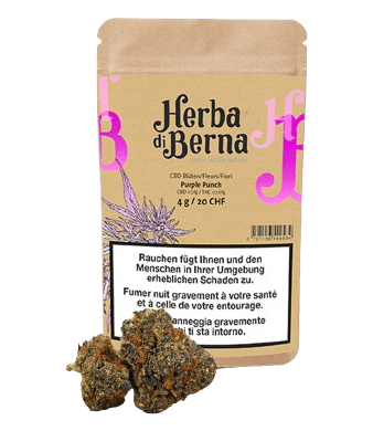 Purple Punch CBD Blüten Indoor - 12g