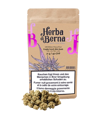 Purple Punch Minibuds Small CBD Buds Indoor - 21g