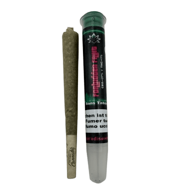 Forbidden Fruit Fertig Gedrehte CBD Joints Indoor - 1pc