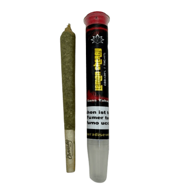 Lemon Cherry Fertig Gedrehte CBD Joints Indoor - 1pc