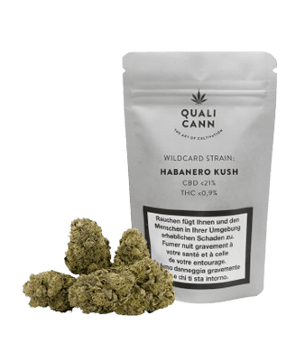 QUALICANN CBD Mundpflegeöl 10% (10ml)
